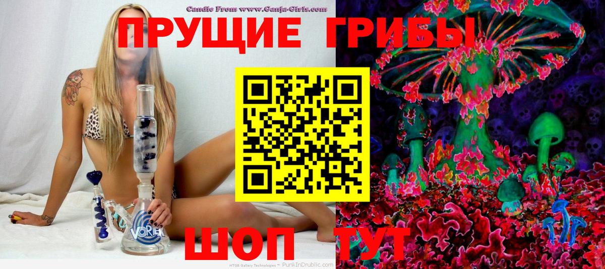 Галлюциногенные грибы Psilocybe Изобильный