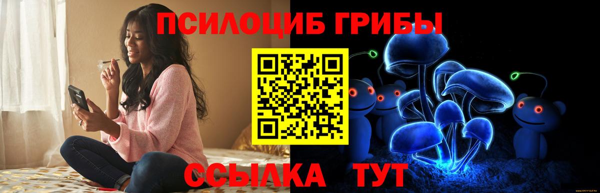 Галлюциногенные грибы MAGIC MUSHROOMS  Вход с VPN  Изобильный 